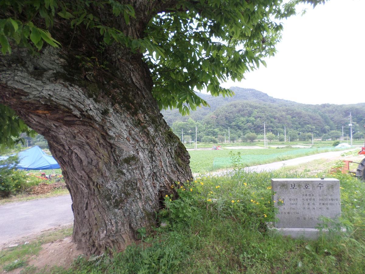 Ongye Jongtaek Hotel Andong Exterior photo
